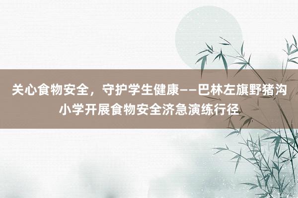 关心食物安全，守护学生健康——巴林左旗野猪沟小学开展食物安全济急演练行径