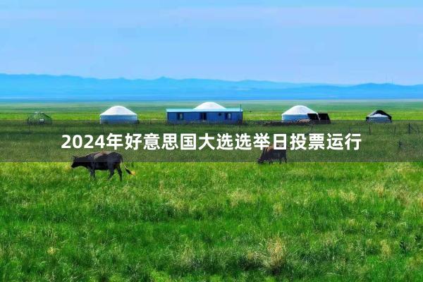 2024年好意思国大选选举日投票运行