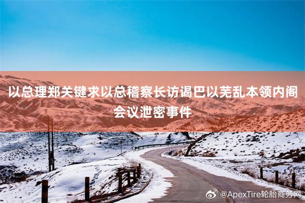 以总理郑关键求以总稽察长访谒巴以芜乱本领内阁会议泄密事件