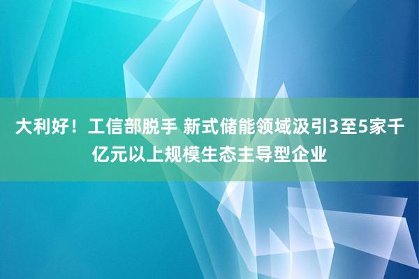 大利好！工信部脱手 新式储能领域汲引3至5家千亿元以上规模生态主导型企业