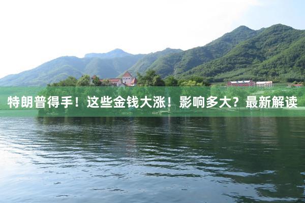 特朗普得手！这些金钱大涨！影响多大？最新解读