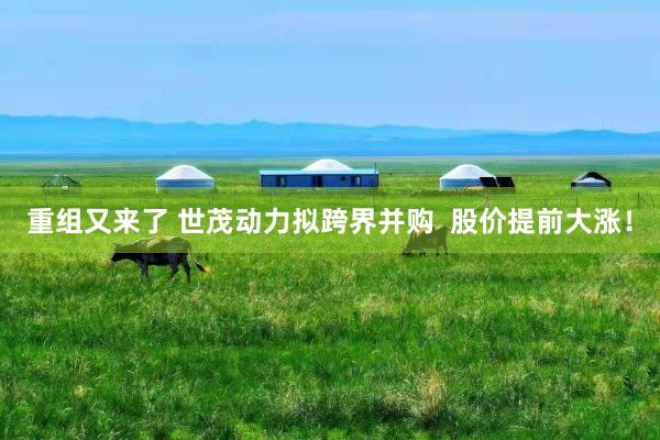 重组又来了 世茂动力拟跨界并购  股价提前大涨！
