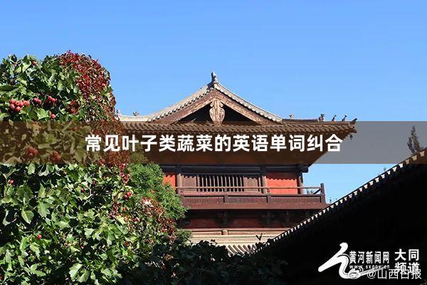 常见叶子类蔬菜的英语单词纠合