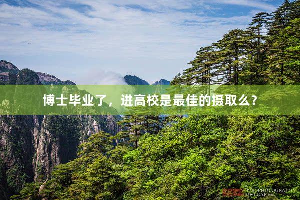 博士毕业了，进高校是最佳的摄取么？