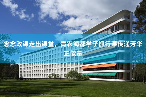 念念政课走出课堂，青农海都学子抓行课传递芳华正能量