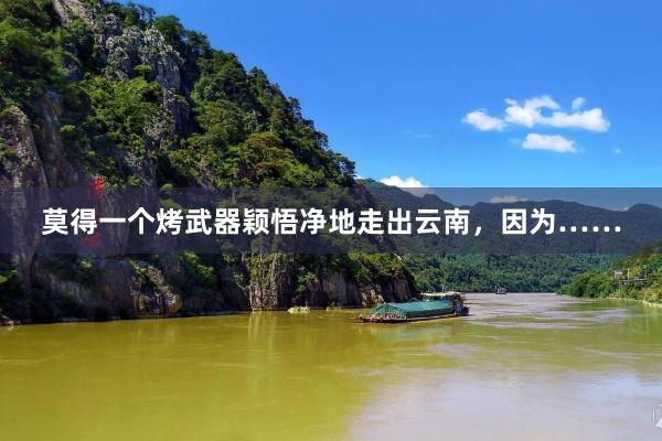 莫得一个烤武器颖悟净地走出云南，因为……