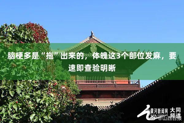 脑梗多是“拖”出来的，体魄这3个部位发麻，要速即查验明晰