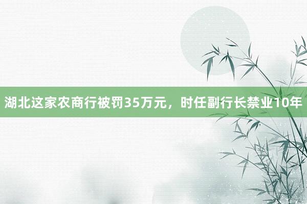 湖北这家农商行被罚35万元，时任副行长禁业10年
