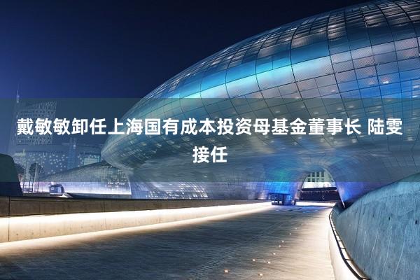 戴敏敏卸任上海国有成本投资母基金董事长 陆雯接任
