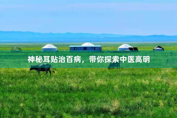 神秘耳贴治百病，带你探索中医高明