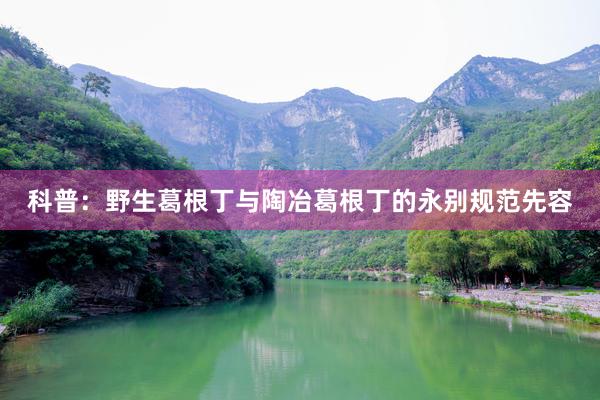 科普：野生葛根丁与陶冶葛根丁的永别规范先容