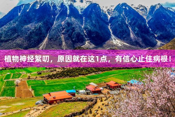 植物神经絮叨，原因就在这1点，有信心止住病根！