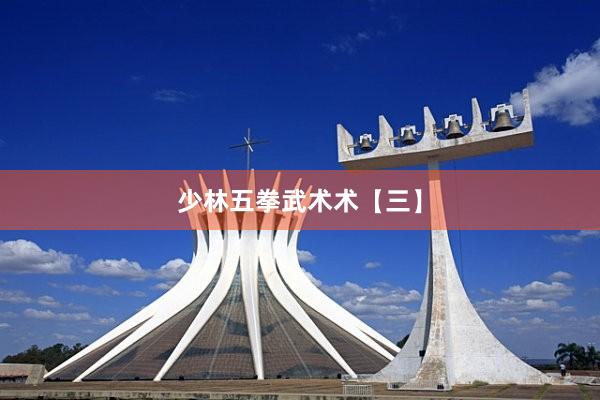 少林五拳武术术【三】